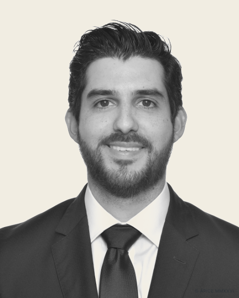 Retrato de Bernardo Treviño, Socio Fundador de Ápice Consultores