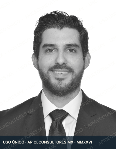 Retrato de Bernardo Treviño, Socio Fundador de Ápice Consultores